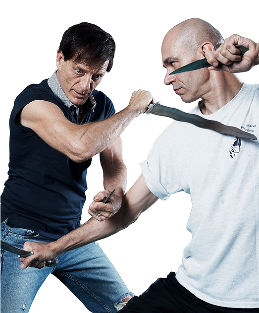 Martial Arts Bible Paul Vunak